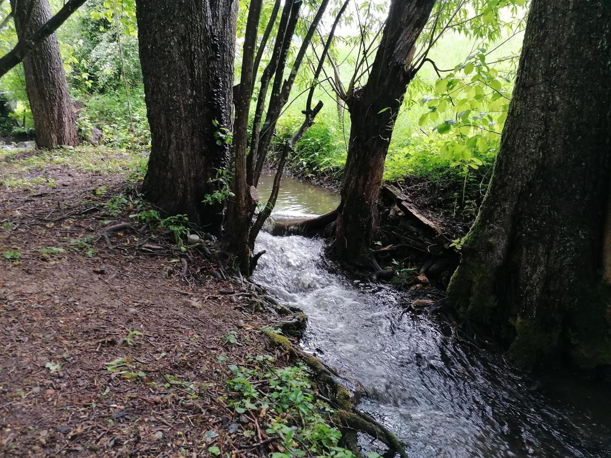 Ferienwohnung "Am Seebach" Wangen im Allgaeu ภายนอก รูปภาพ